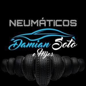 Damian Soto e Hijos Ltda.